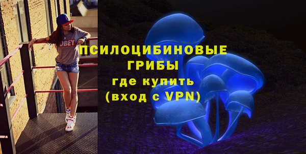 синтетический гашиш Новодвинск