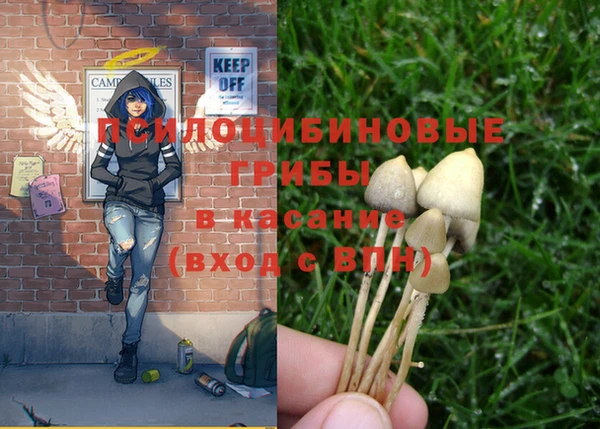 герыч Новозыбков