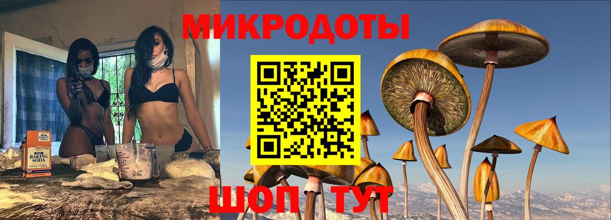 Галлюциногенные грибы GOLDEN TEACHER  Вход с VPN  Владимир 