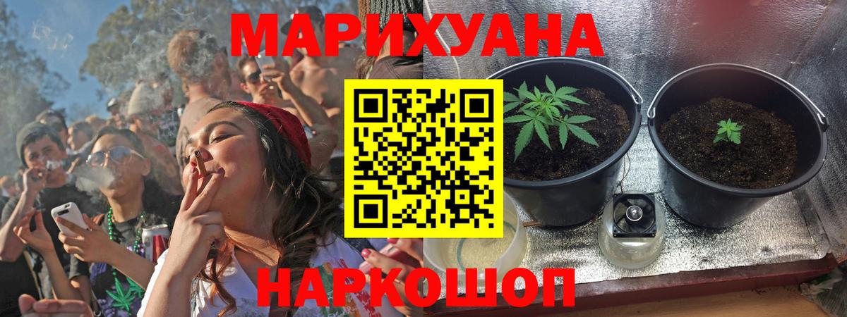 Конопля планчик  Канабис семена  Владимир 